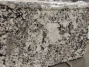 Kopenhagen 155079 .webp