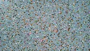 DJI_20261013153504_0090_D.webp