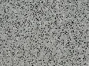 IMG_4817.webp