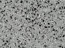 IMG_4818.webp