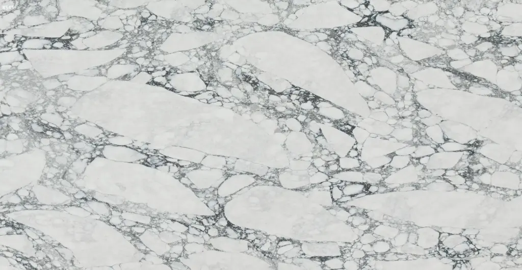 Laurencia [AGQ8545]
